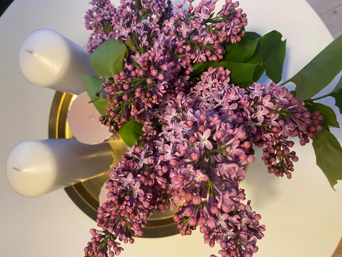 Aday - Dagmargade - Studio Apartman Koppenhága Kültér fotó